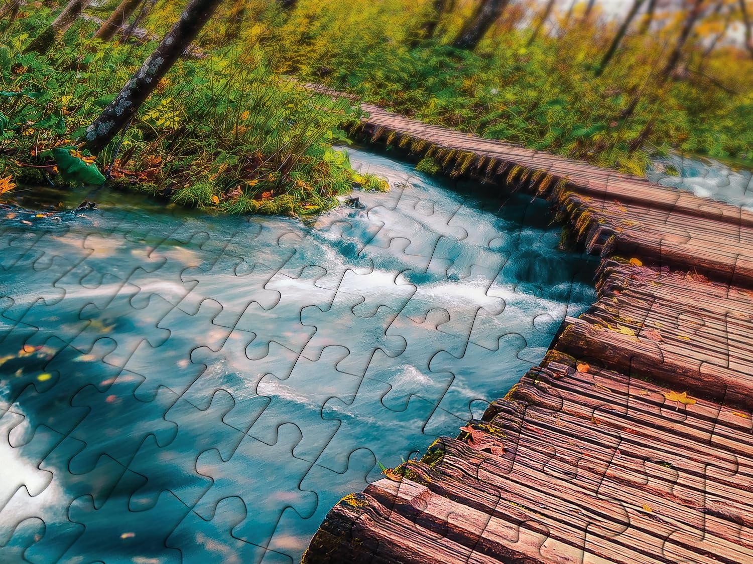 1000 Pieces Jigsaw Puzzle For Adults Matte Finish Soft Touch Sturdy And Unique Pieces Tight Fit 1000 Pieces Jigsaw Puzzle For Adults Matte Finish Soft Touch Sturdy And Unique Pieces Tight Fit