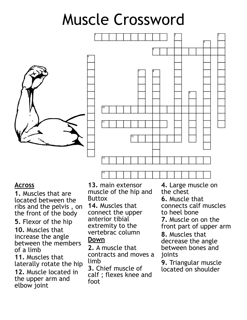 Anatomy Crossword WordMint Anatomy Crossword WordMint