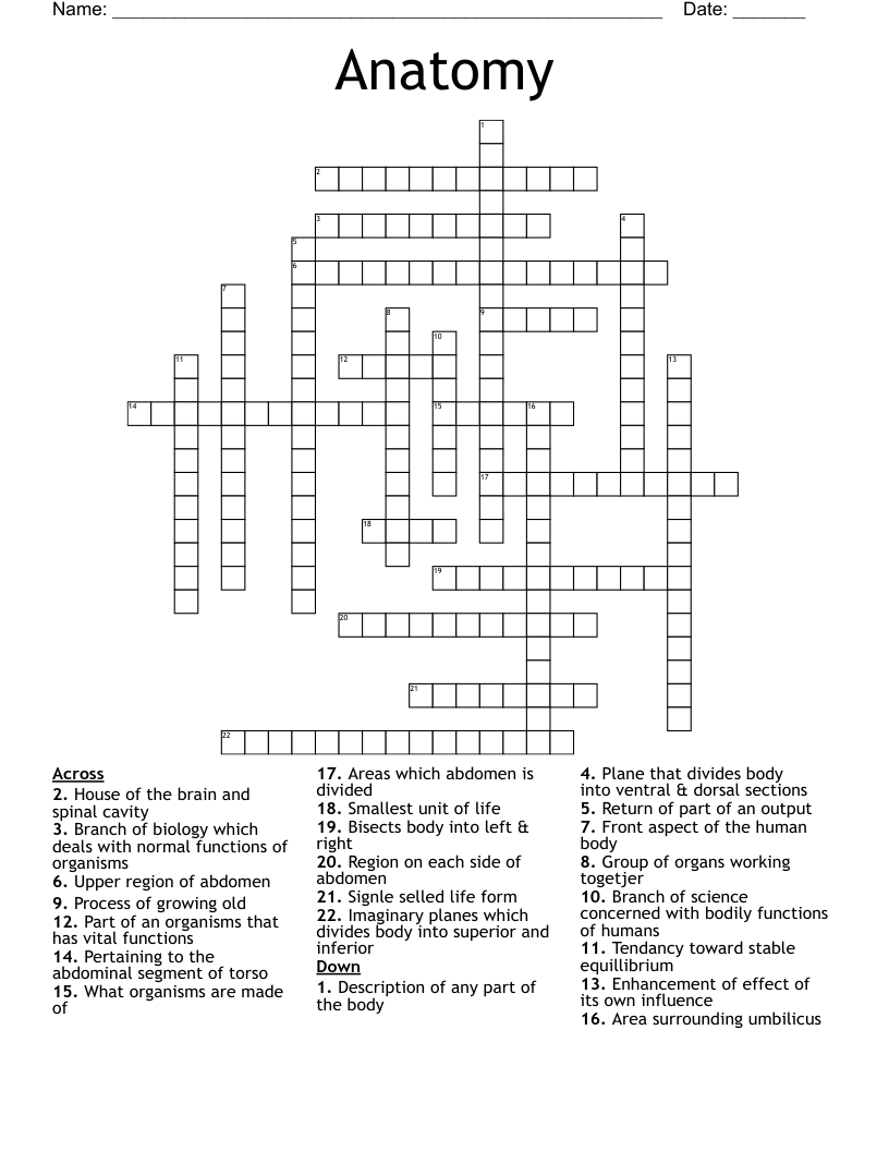 Anatomy Crossword WordMint Anatomy Crossword WordMint