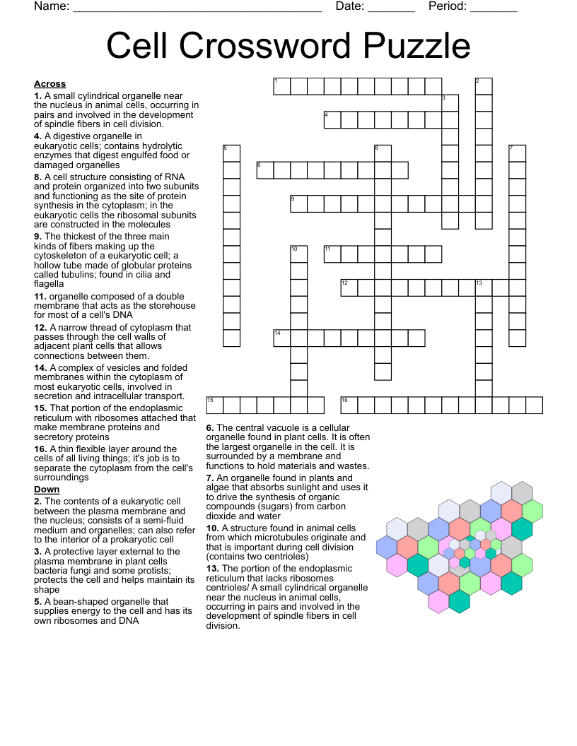 Biology Crossword Puzzle WordMint Biology Crossword Puzzle WordMint