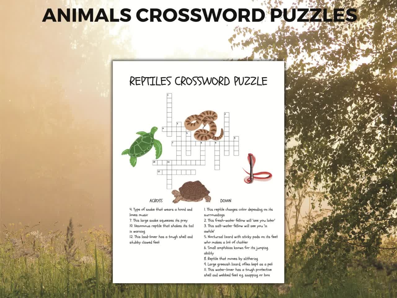 Children s Crossword Puzzles For Kids Activity Pages Classroom Activity Etsy