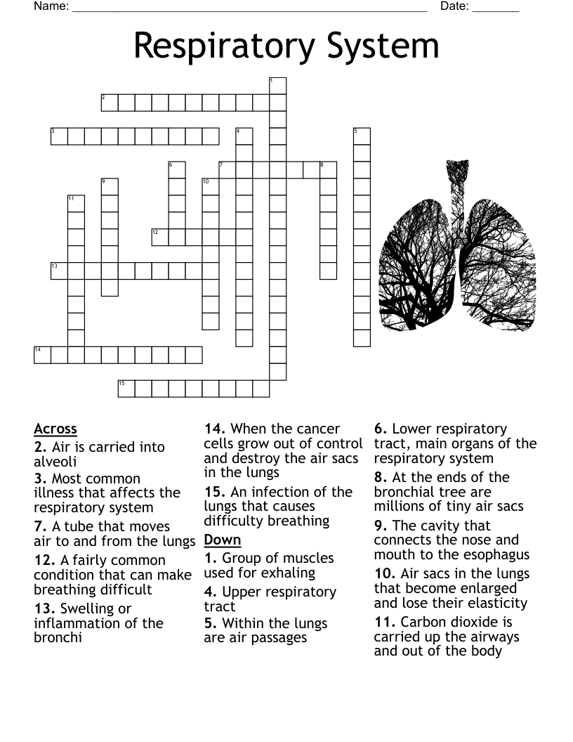 Crossword Puzzle For Grade 7 WordMint