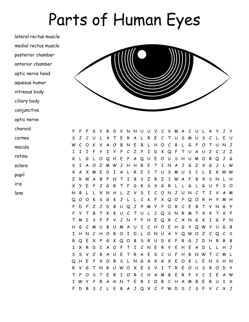 Free Printable Word Search Mirror Eyes Download Free Printable Word Search Mirror Eyes Png Images Free Worksheets On Clipart Library Free Printable Word Search Mirror Eyes Download Free Printable Word Search Mirror Eyes Png Images Free Worksheets On Clipart Library