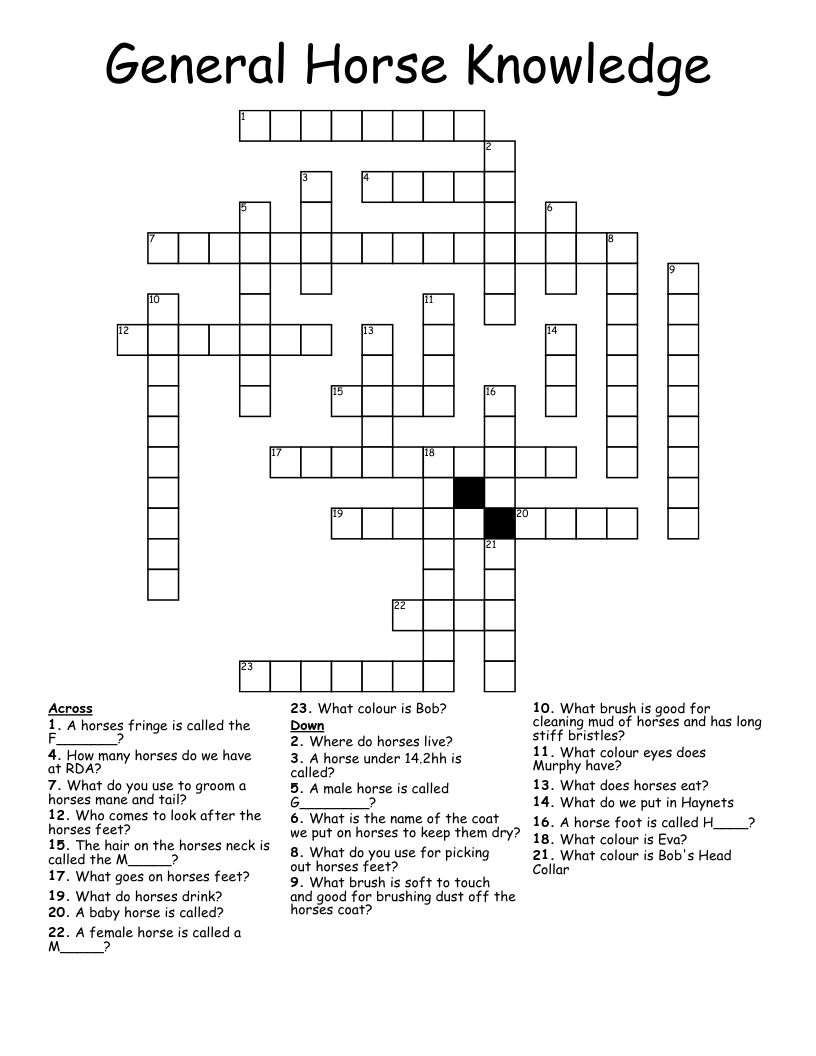 General Horse Knowledge Crossword WordMint General Horse Knowledge Crossword WordMint