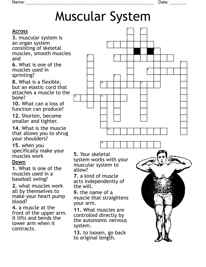Grade 3 Crossword WordMint Grade 3 Crossword WordMint