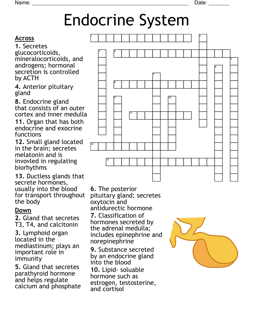 GRE Study Puzzle Crossword WordMint