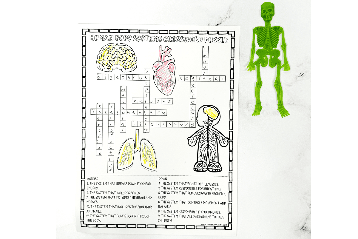 Easy Science Crossword Puzzles Printable Easy Science Crossword Puzzles Printable