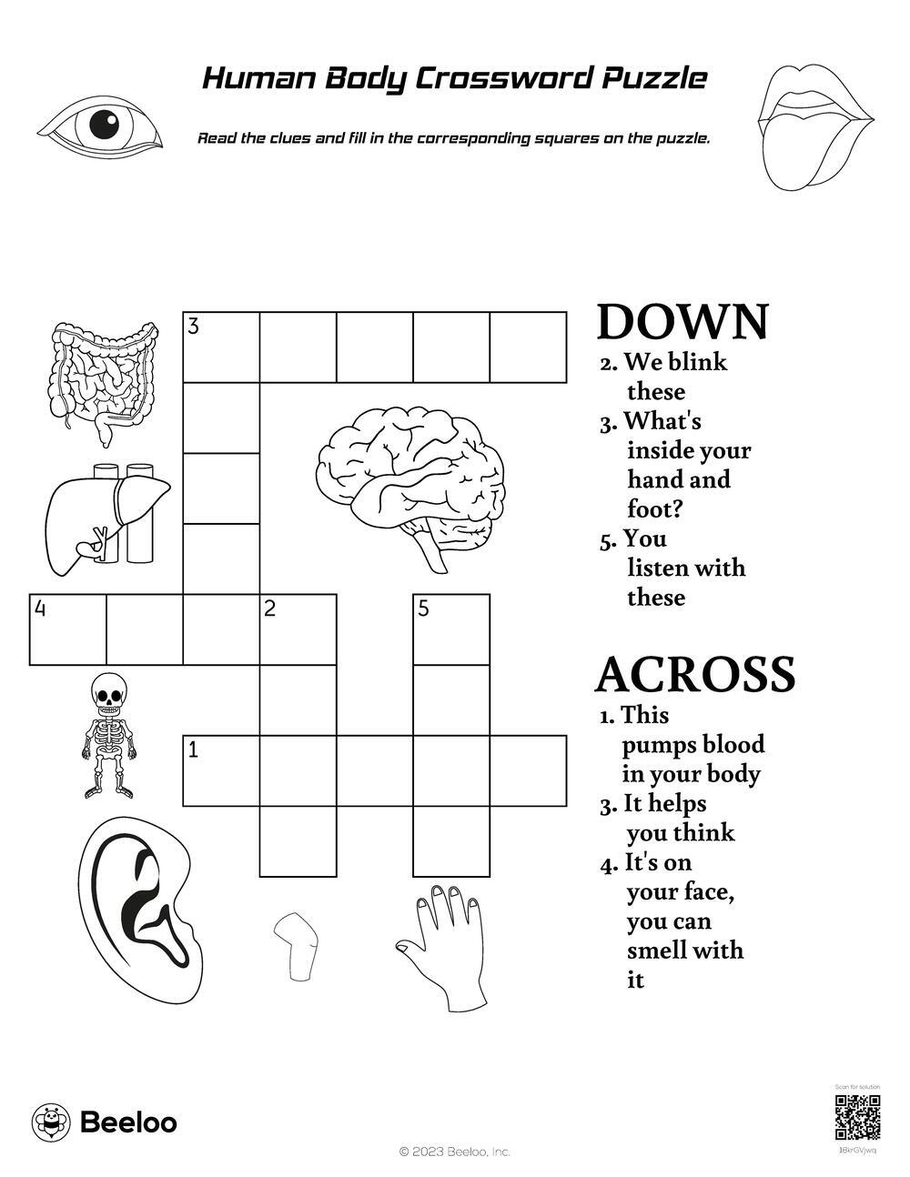 Human Body themed Crossword Puzzles Beeloo Printable Crafts And Activities For Kids Human Body themed Crossword Puzzles Beeloo Printable Crafts And Activities For Kids