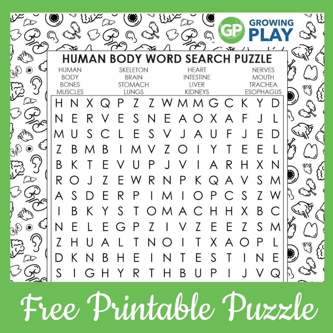 Human Body Word Search Printable FREE Growing Play Human Body Word Search Printable FREE Growing Play