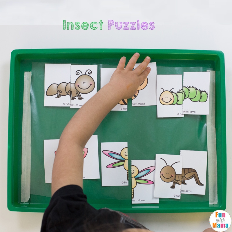 Insect Theme Printable Puzzles Fun With Mama