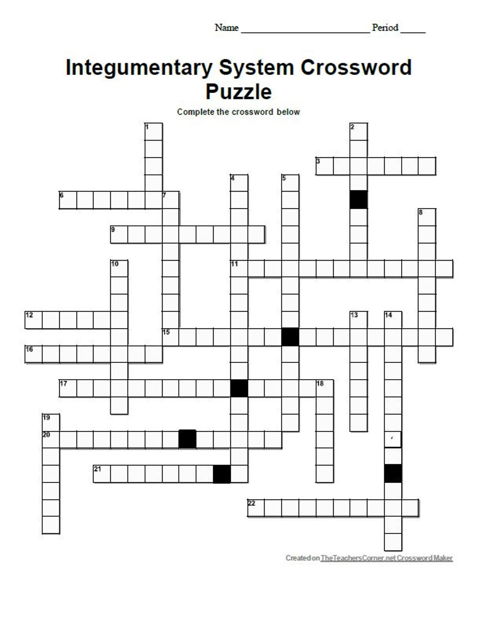Integumentary System Crossword Puzzle Set Amped Up Learning Integumentary System Crossword Puzzle Set Amped Up Learning