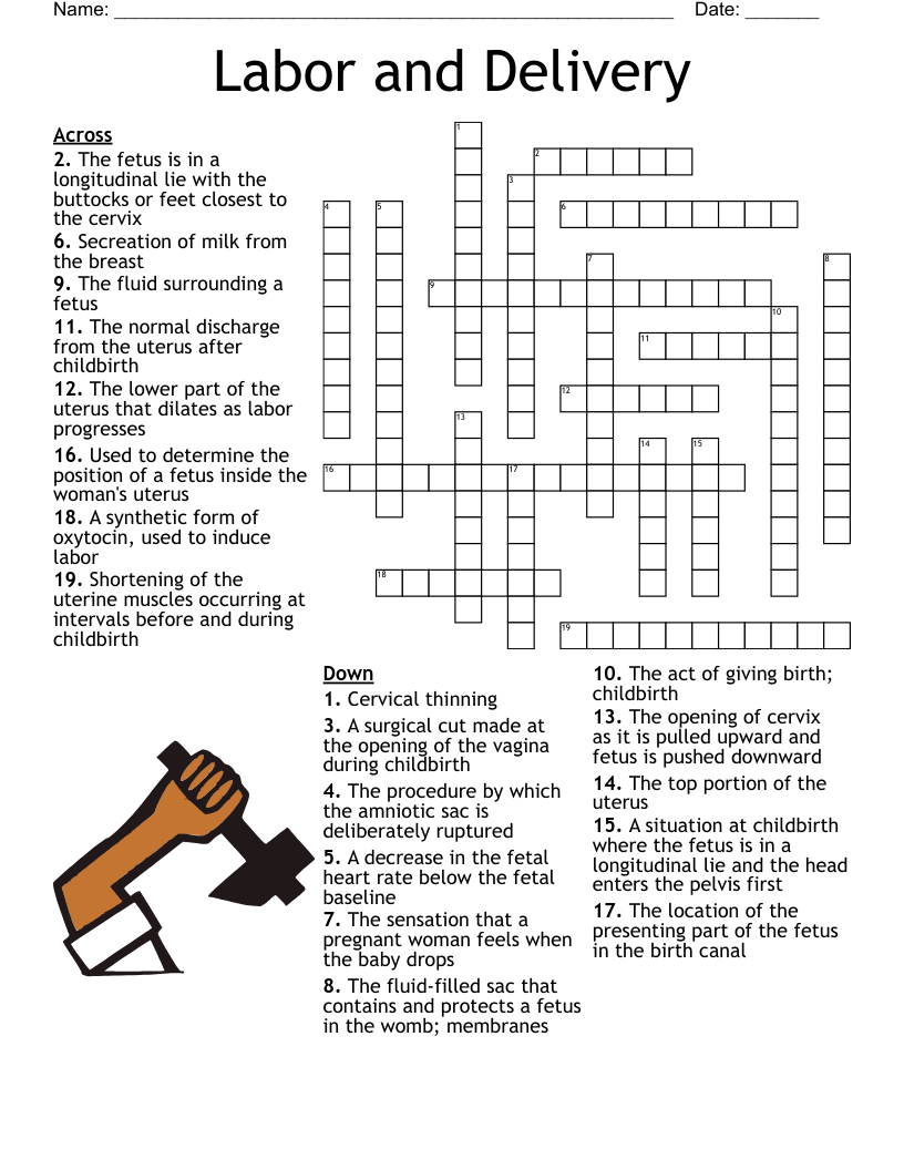 Labor And Delivery Crossword WordMint Labor And Delivery Crossword WordMint