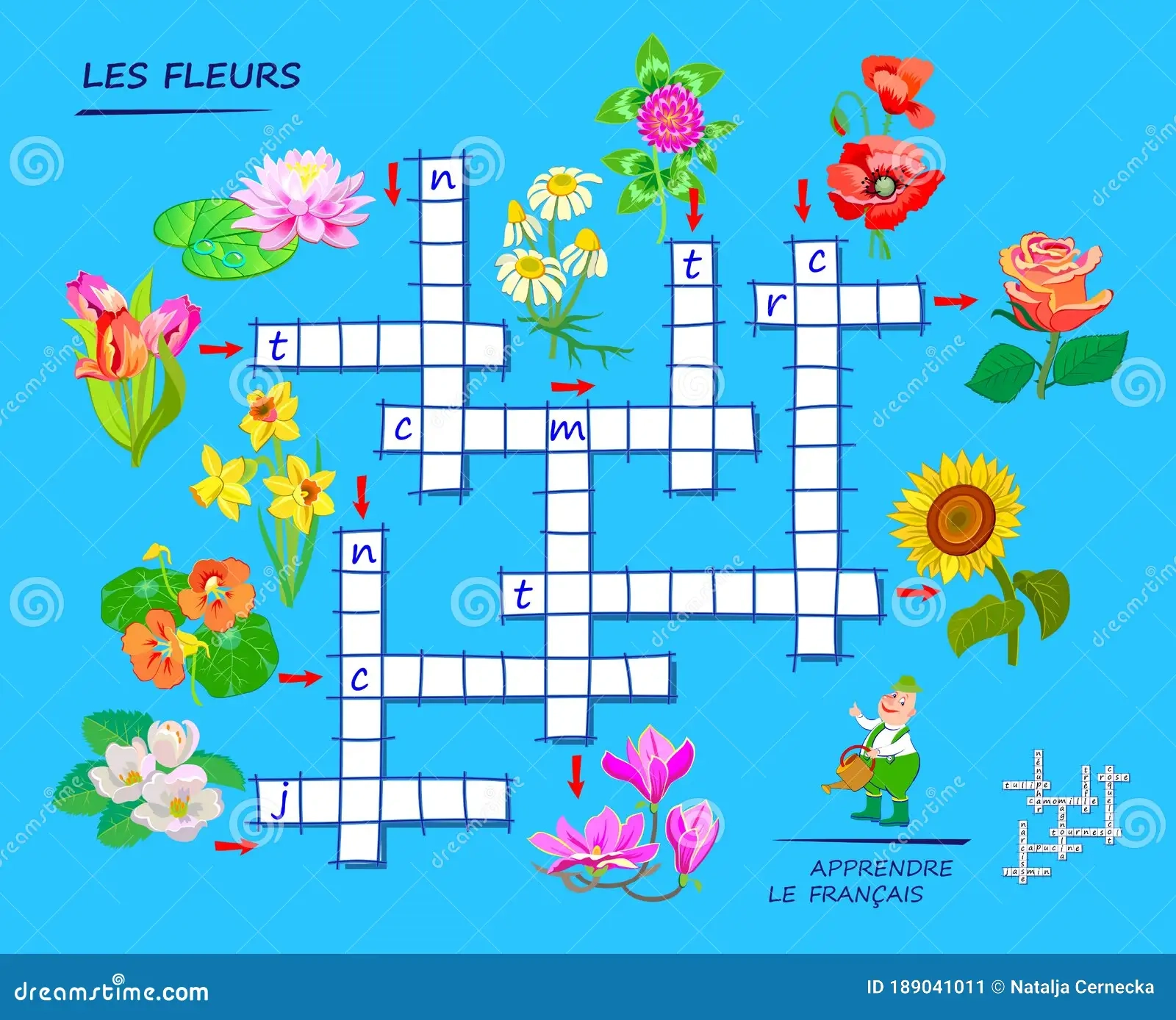 LEARN FRENCH Crossword Puzzle Game With Flowers Educational Page For Children To Study French Language And Words Stock Vector Illustration Of Exercise Logic 189041011 LEARN FRENCH Crossword Puzzle Game With Flowers Educational Page For Children To Study French Language And Words Stock Vector Illustration Of Exercise Logic 189041011