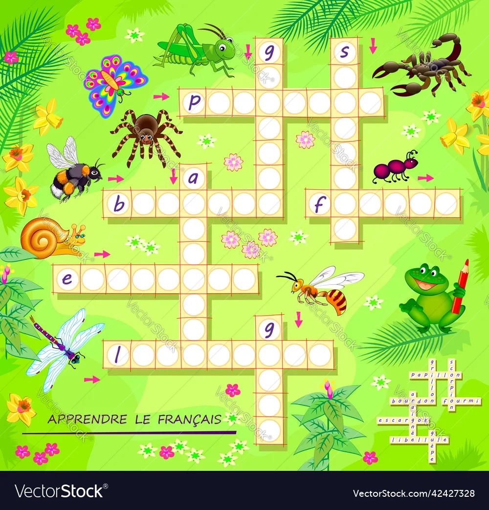 Learn French Crossword Puzzle Game With Pictures Vector Image