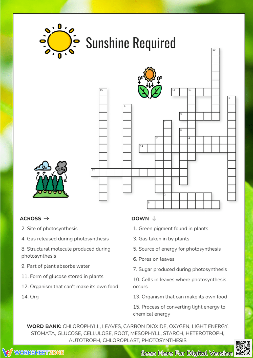 Free Printable Crossword Puzzles Photosynthesis Free Printable Crossword Puzzles Photosynthesis