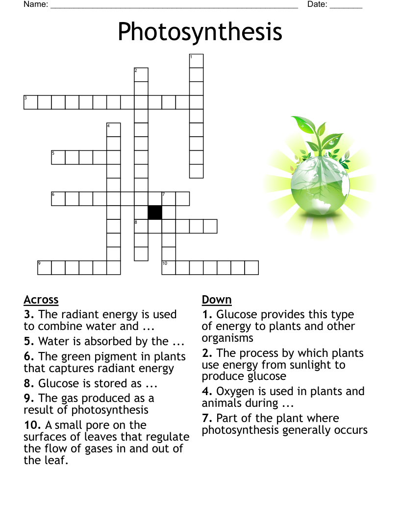 Photosynthesis Crossword WordMint Photosynthesis Crossword WordMint