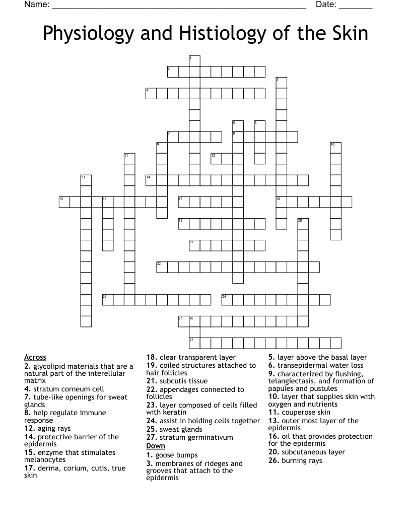Physiology And Histiology Of The Skin Crossword WordMint Physiology And Histiology Of The Skin Crossword WordMint