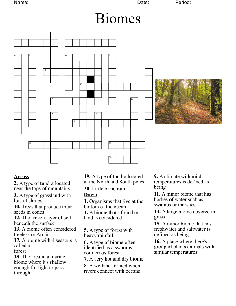 PRIVILEGE PUZZLES Crossword WordMint PRIVILEGE PUZZLES Crossword WordMint