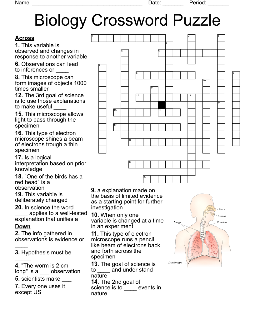Science Crosswords Word Searches Bingo Cards WordMint Science Crosswords Word Searches Bingo Cards WordMint