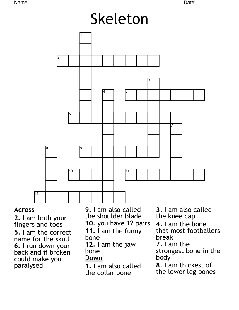 Skeleton Crossword WordMint Skeleton Crossword WordMint