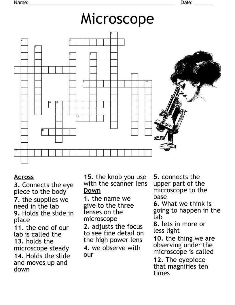 The Eye Crossword WordMint The Eye Crossword WordMint