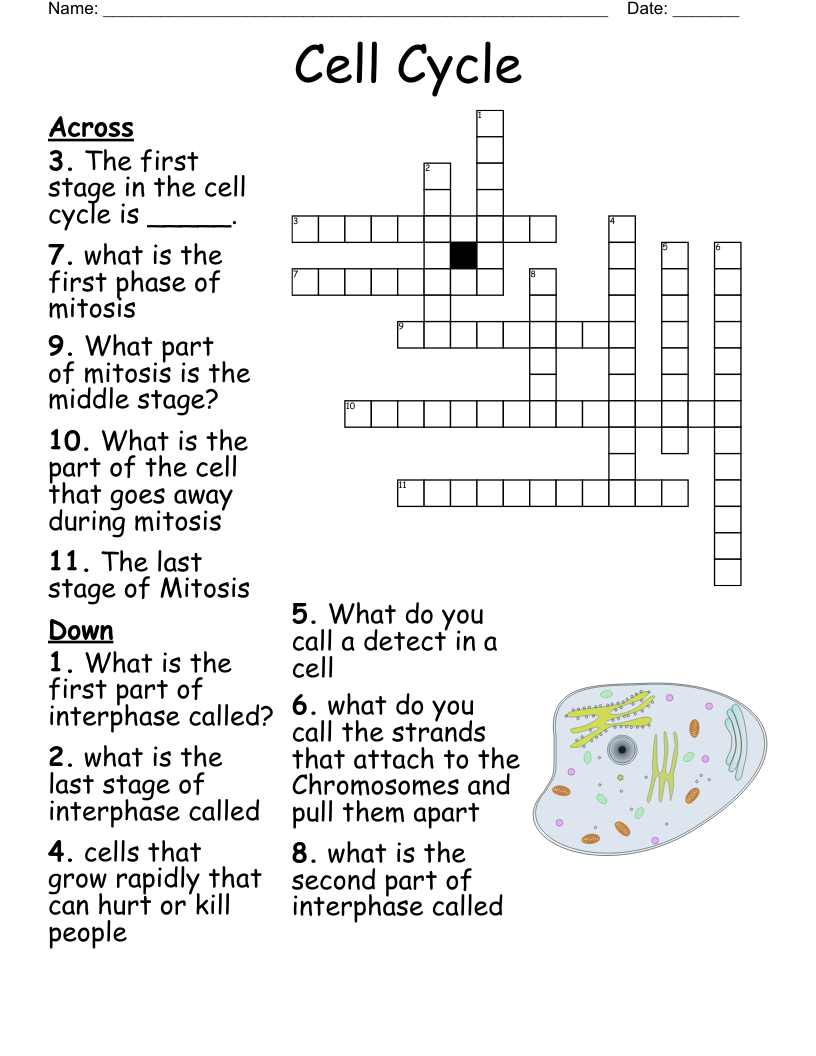 The Eye Crossword WordMint The Eye Crossword WordMint