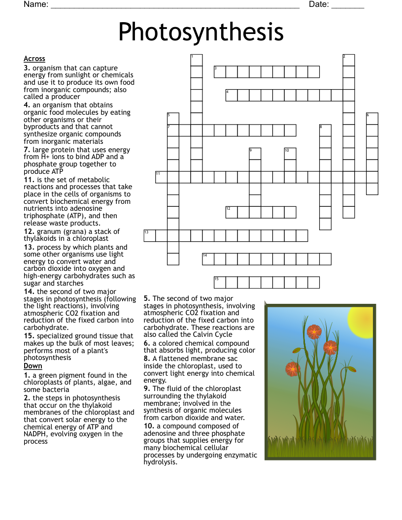 The Medium Crossword Puzzle WordMint The Medium Crossword Puzzle WordMint