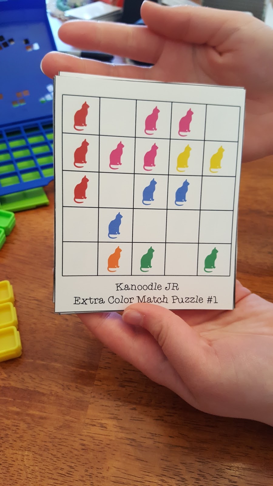 The Puzzle Den Kanoodle JR Extra Challenges